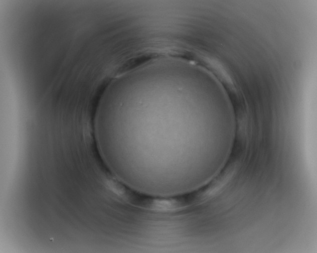 X0000114070457200910051341