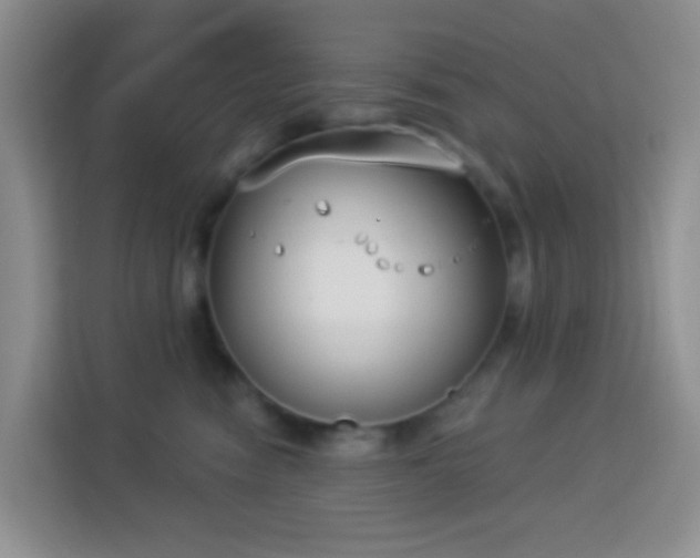 X0000114070474200910051342