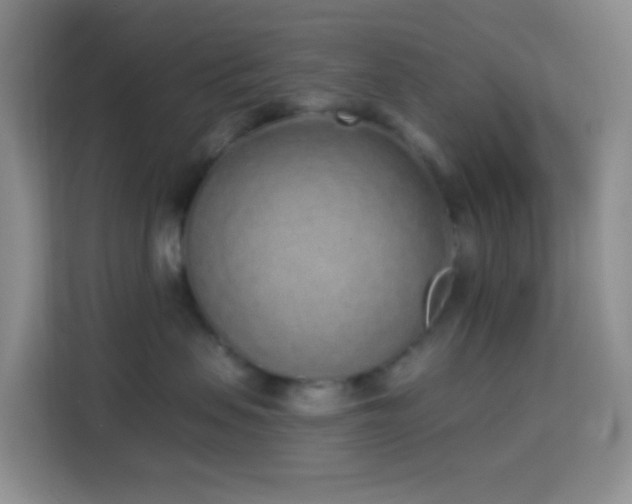 X0000114070479200910051342