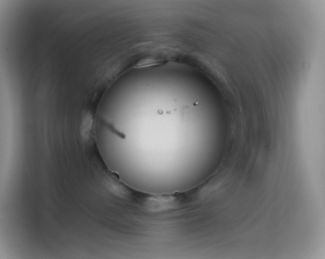 X0000114070480200910051342