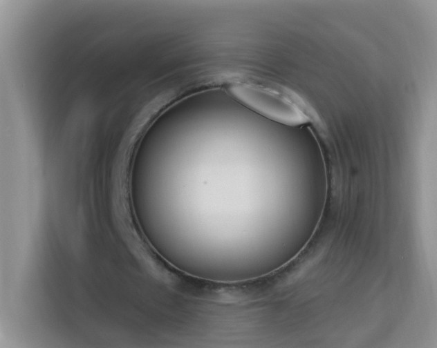 X0000114070481200910051341