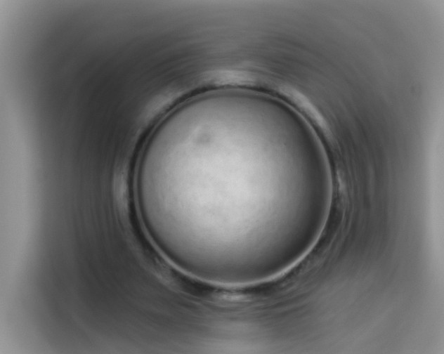 X0000114070487200910051341