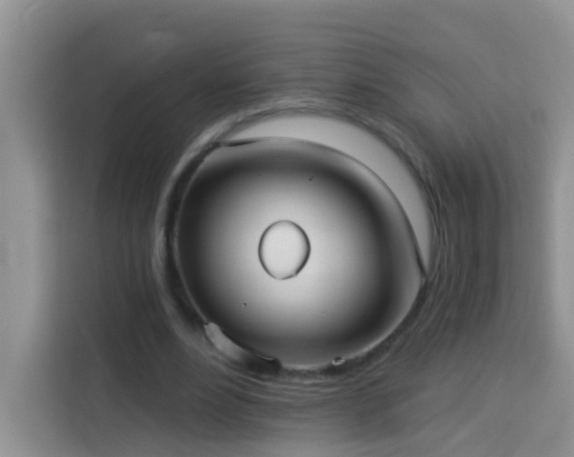 X0000114070488200910051341