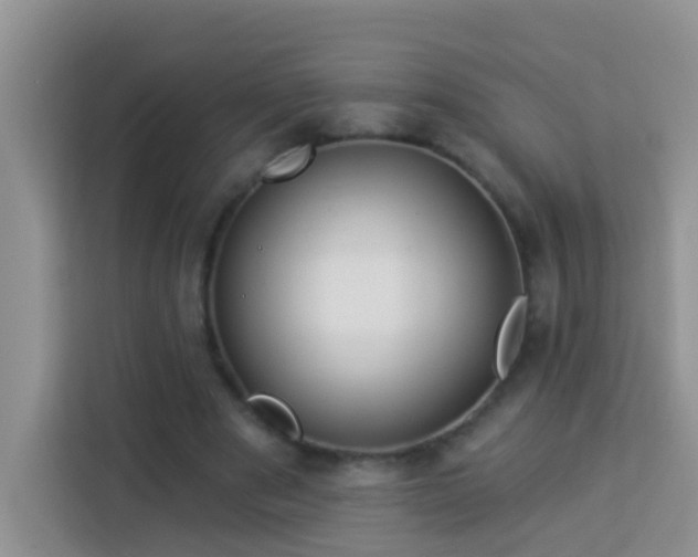 X0000114070489200910051341