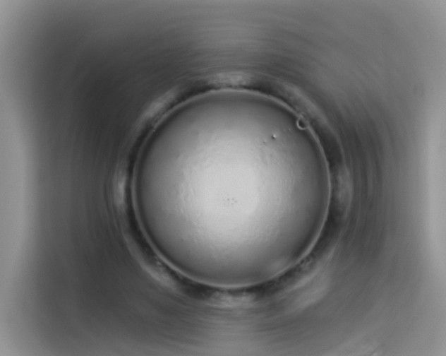 X0000114070491200910051341