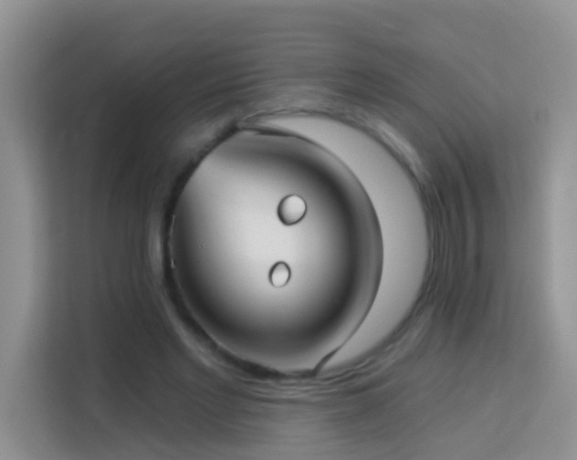 X0000114070493200910051341