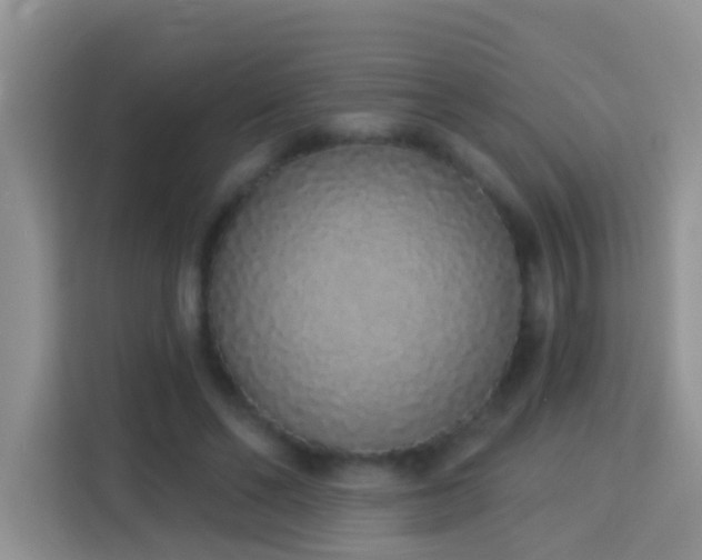 X0000114070494200910051341