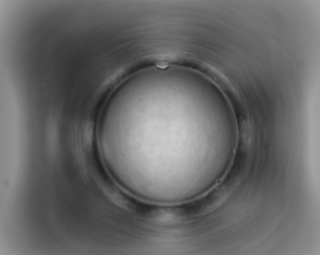 X0000114070495200910051341