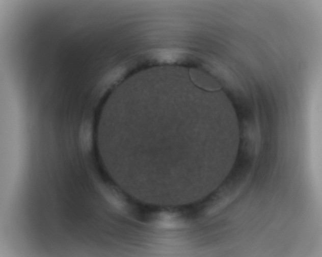 X0000114070496200910051341