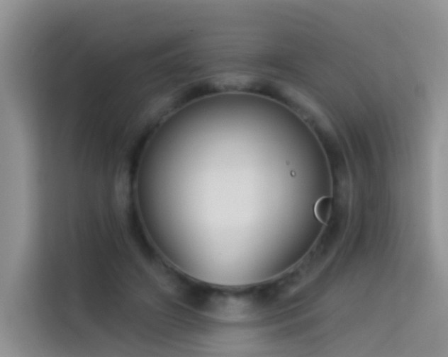 X0000114070498200910051341