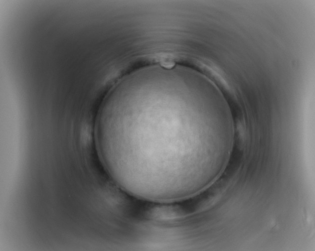 X0000114070499200910051341