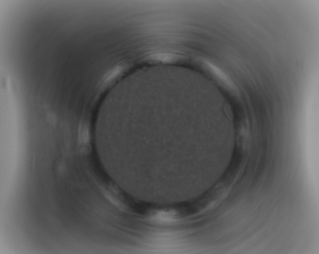 X0000114070500200910051341