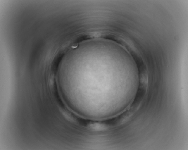 X0000114070503200910051341