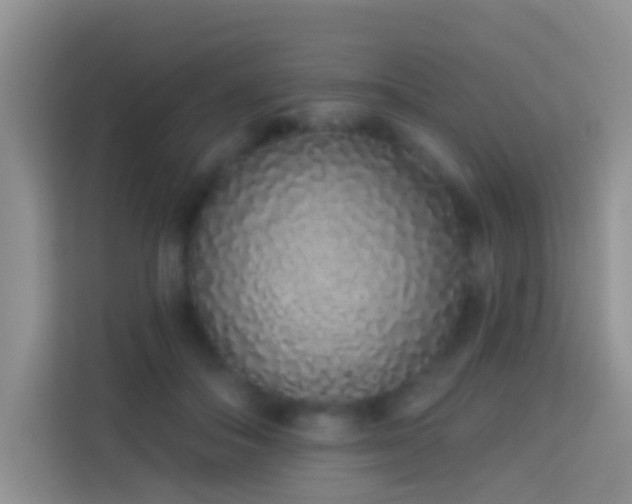 X0000114070506200910051341