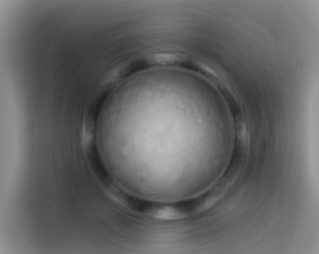 X0000114070507200910051341