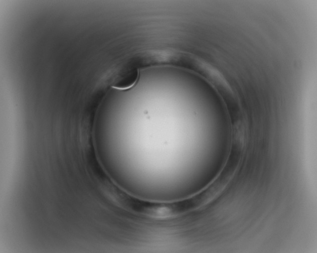 X0000114070509200910051341