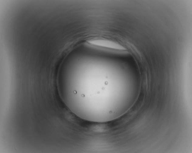 X0000114070513200910051341