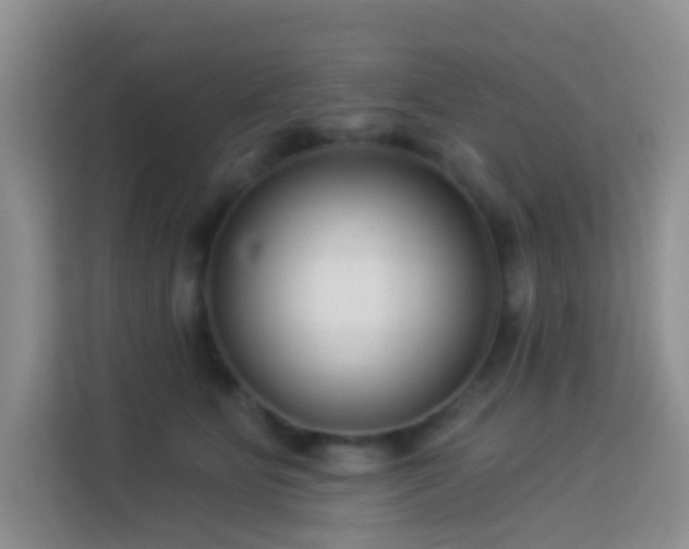 X0000114070515200910051341