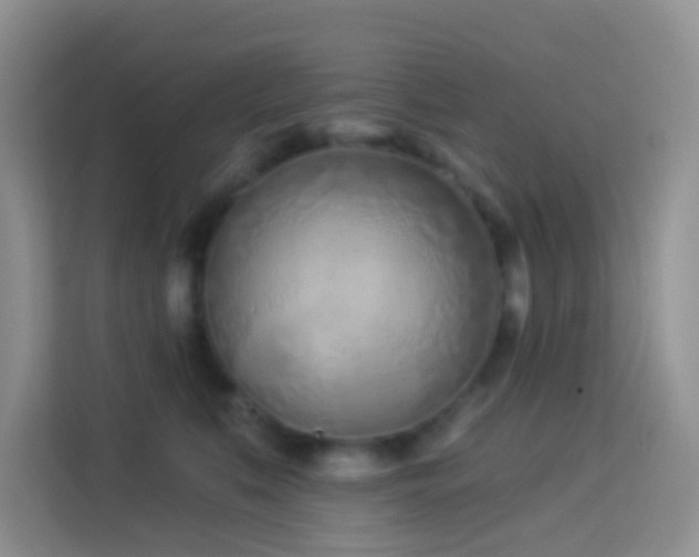 X0000114070519200910051340