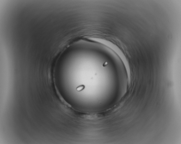 X0000114070524200910051340