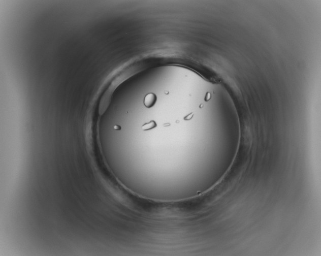 X0000114070535200910051340