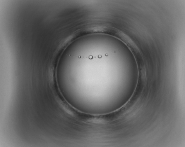 X0000114070537200910051340