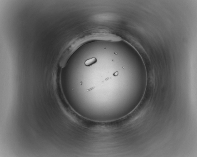 X0000114070538200910051340