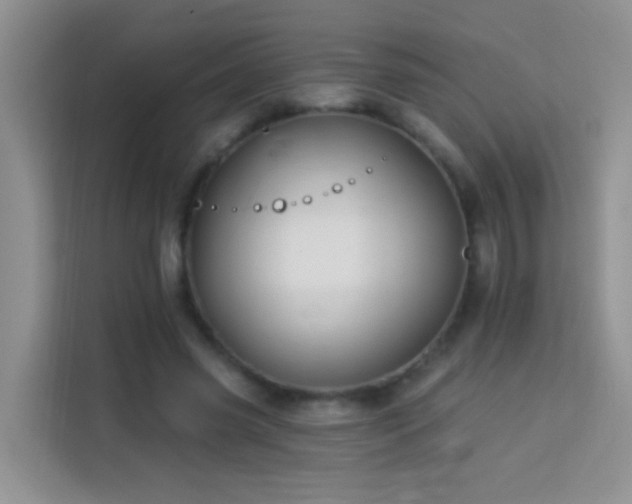 X0000114070541200910051340