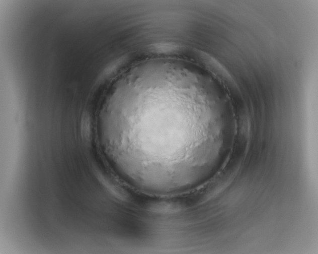 X0000114070542200910051340