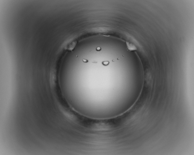 X0000114070544200910051340