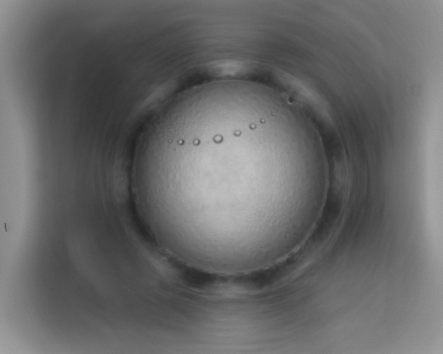 X0000114070545200910051340