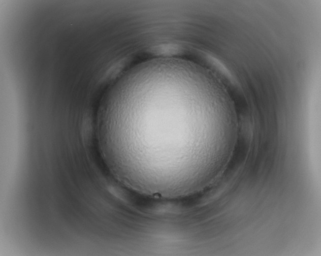 X0000114070549200910051340