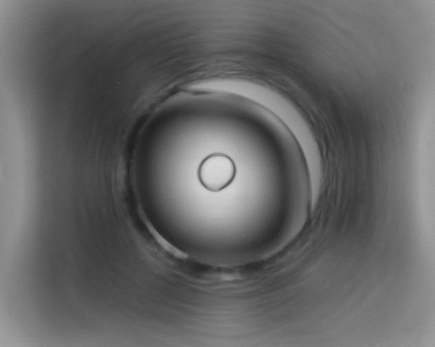 X0000114070552200910051340