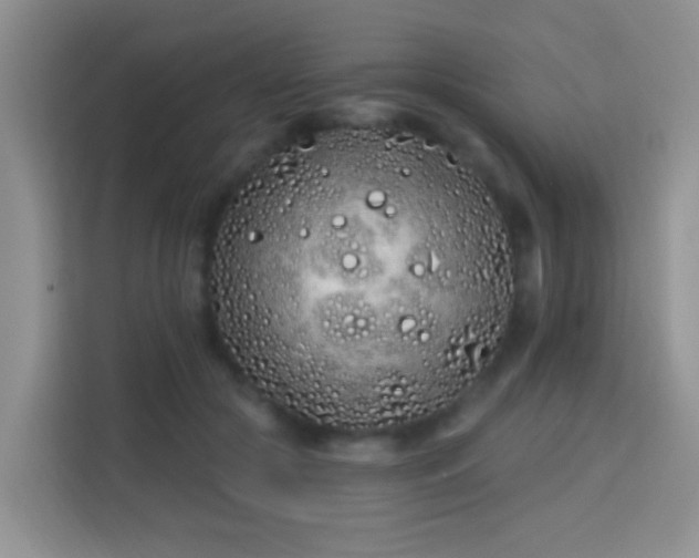 X0000114070553200910051340