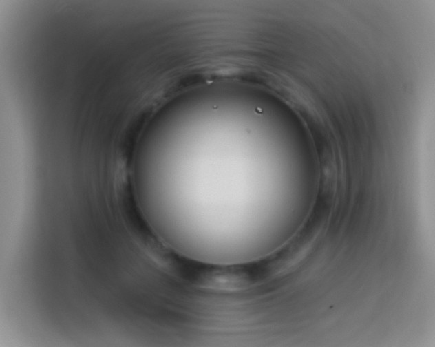 X0000114070555200910051340