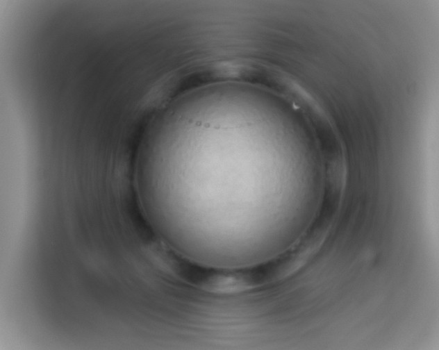 X0000114070557200910051340