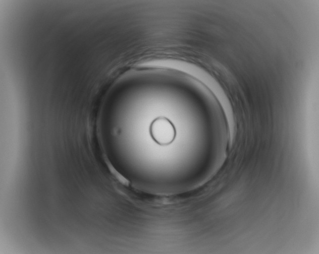 X0000114070558200910051340