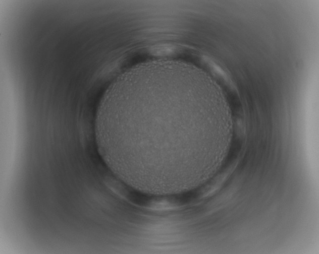 X0000114070561200910051340