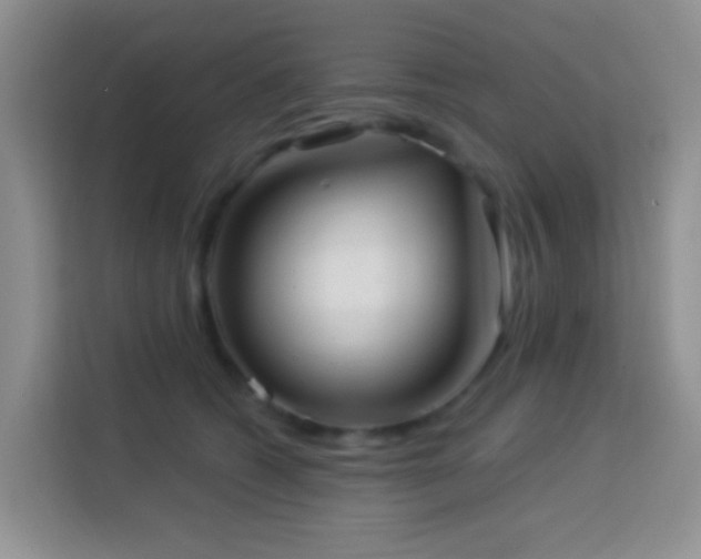 X0000114070562200910051340