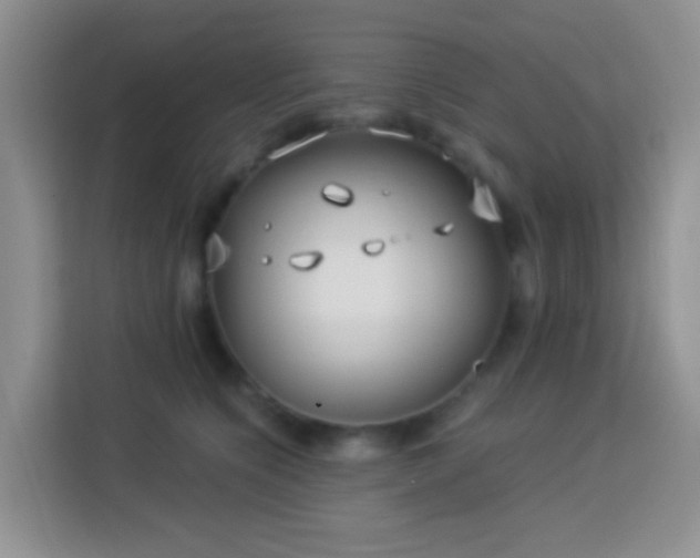 X0000114070564200910051340