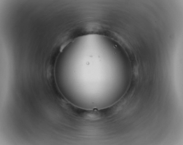 X0000114070567200910051340