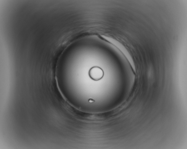 X0000114070568200910051340