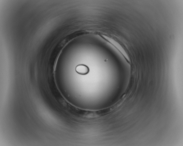 X0000114070572200910051340