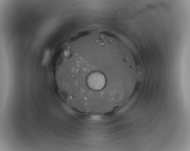 X0000114070573200910051340