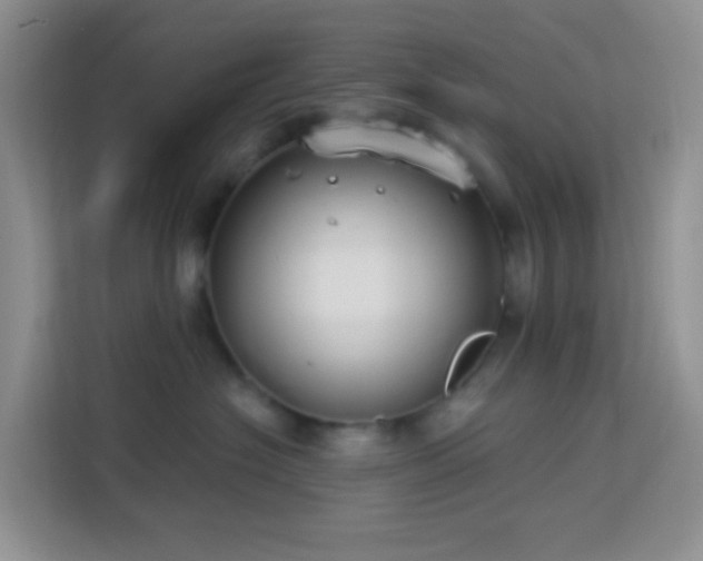 X0000114070574200910051340