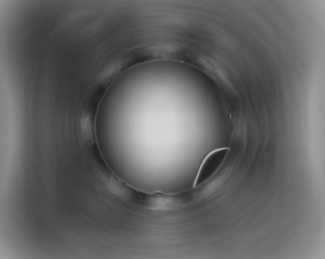 X0000114070575200910051340