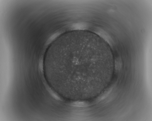 X0000114070581200910051340