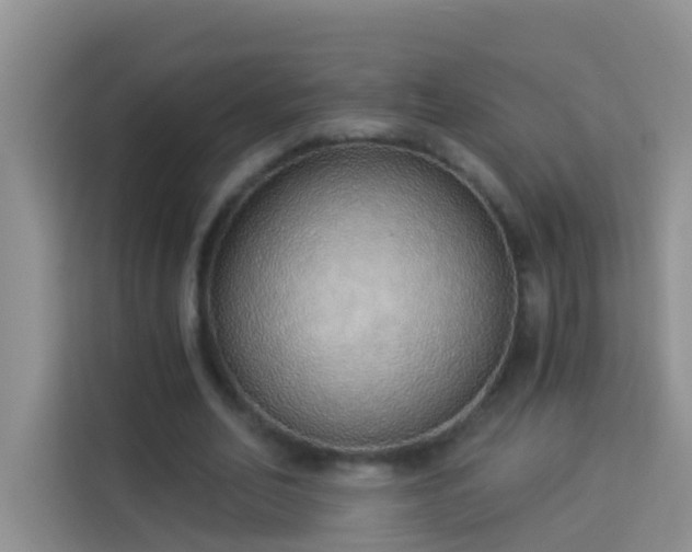 X0000114070582200910051340