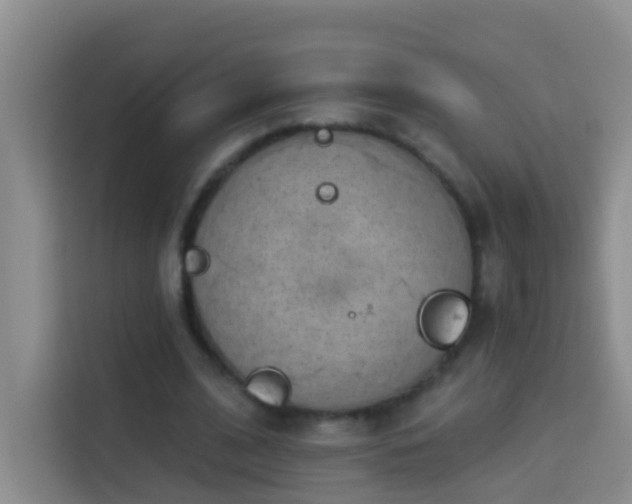 X0000114070584200910051340