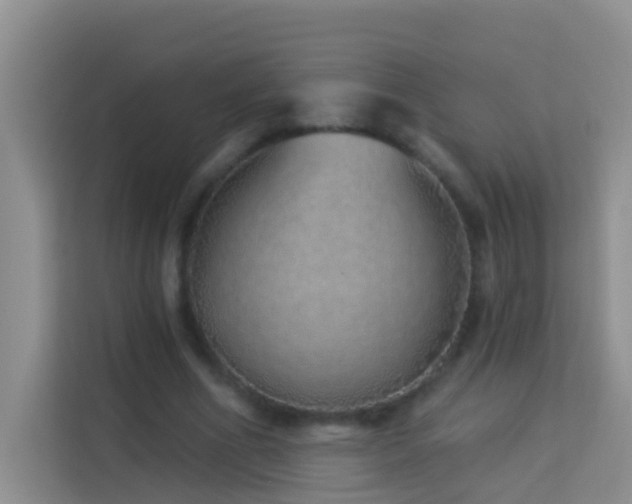 X0000114070586200910051340